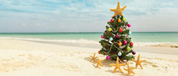 Sun, Sea and Santa - For an unforgettable Christmas Vacation in Barbados